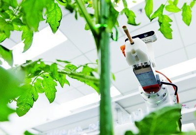 首臺全流程智能育種機器人亮相，引領(lǐng)生物科技研究新浪潮